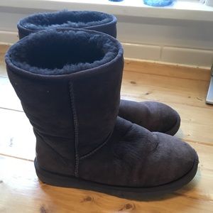 Short Chocolate UGGS